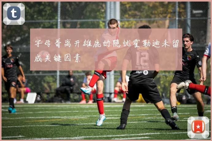 字母哥离开雄鹿的隐忧霍勒迪未留成关键因素