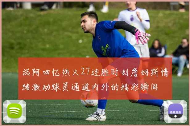 诺阿回忆热火27连胜时刻詹姆斯情绪激动球员通道内外的精彩瞬间