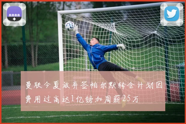 曼联今夏放弃签帕尔默转会计划因费用过高达1亿镑加周薪25万