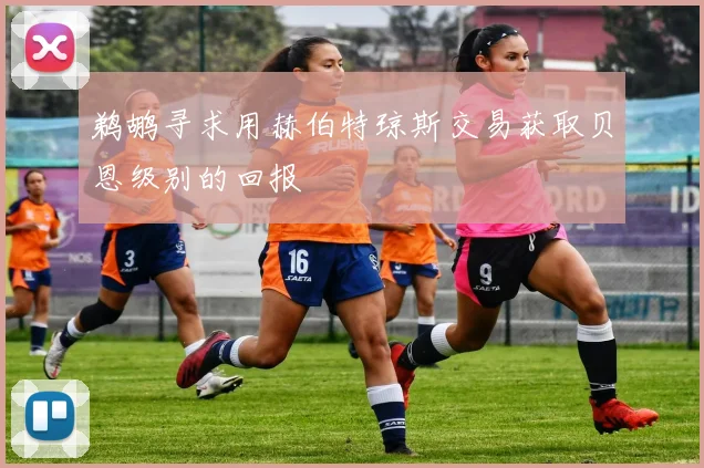 鹈鹕寻求用赫伯特琼斯交易获取贝恩级别的回报
