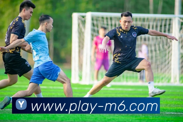 M6米乐全站App